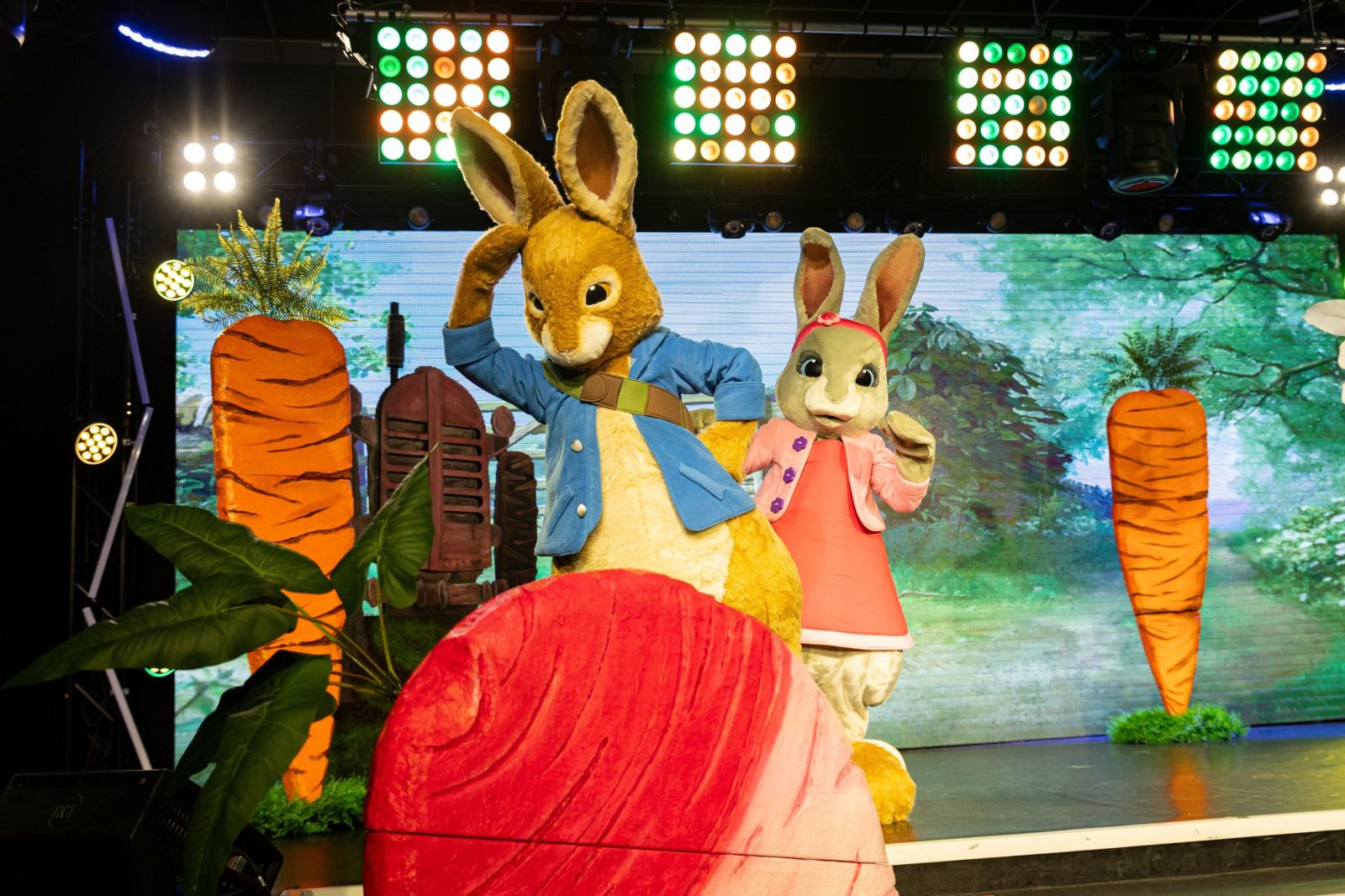 Peter Rabbit and Lily in the garden set of Peter Rabbit 'In The Garden' live show