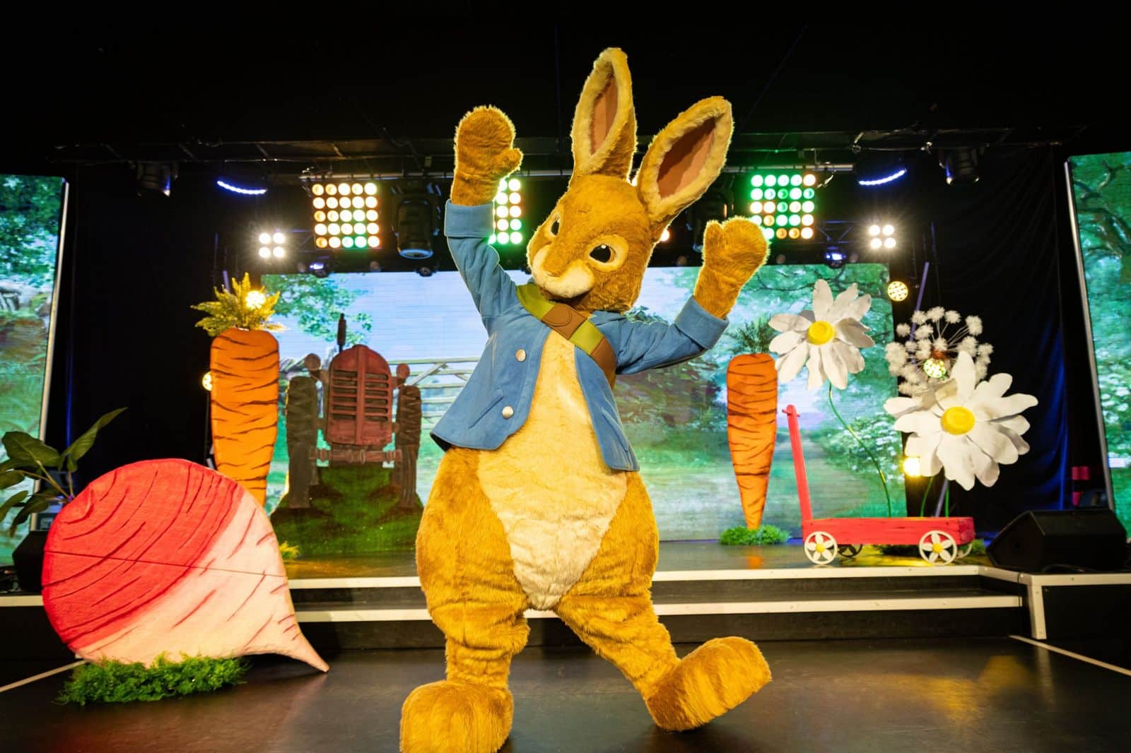 Peter Rabbit dancing on stage in Peter Rabbit 'In The Garden' live family show